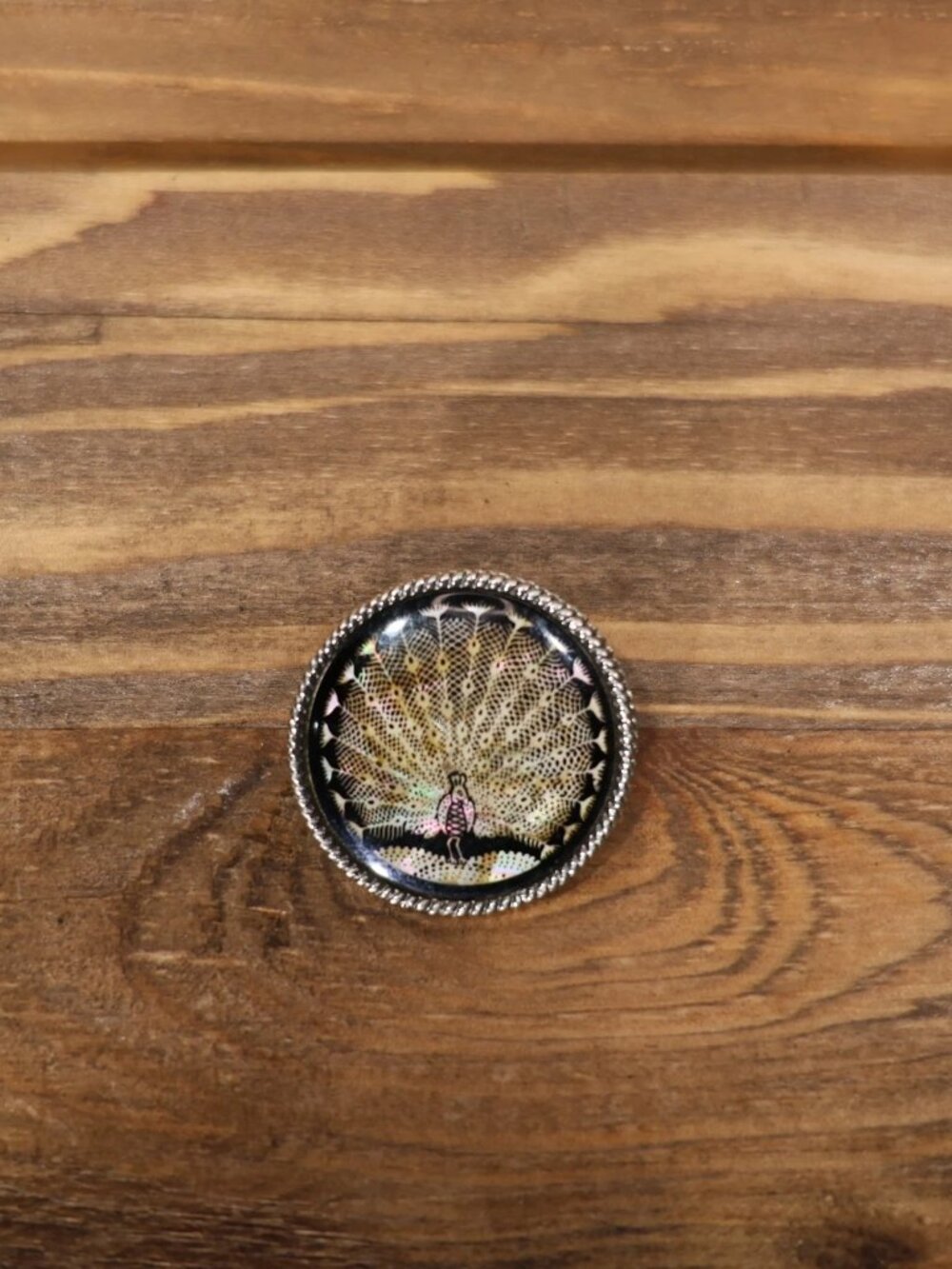 Vintage Japanese Brooch Pin Peacock Art with Iridescent Background Signed Japan
